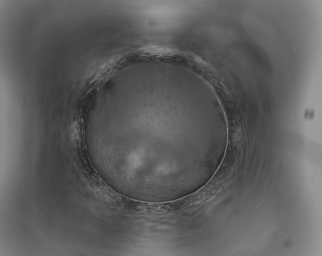 X0000094461397200711151439
