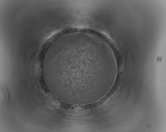 X0000094461398200711151439