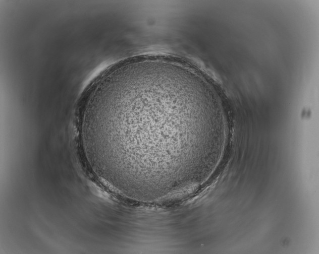 X0000094461400200711151439