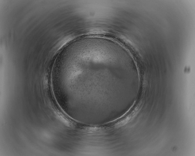 X0000094461401200711151439