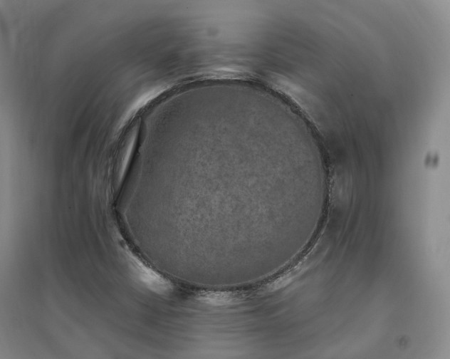 X0000094461402200711151439