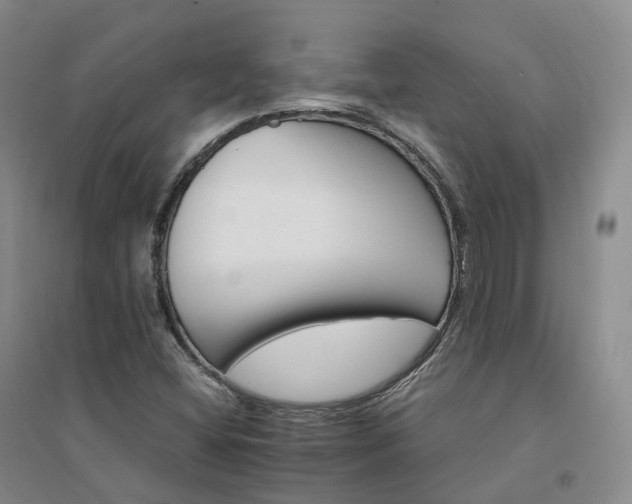 X0000094461404200711151439