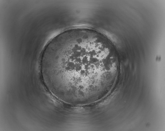 X0000094461405200711151439