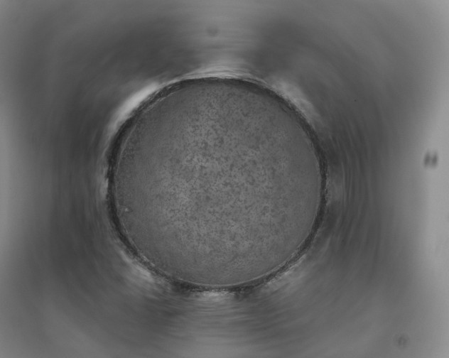 X0000094461406200711151439