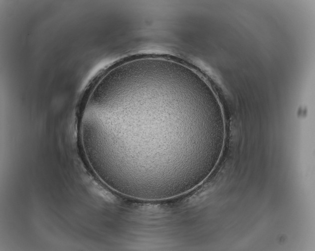 X0000094461408200711151439