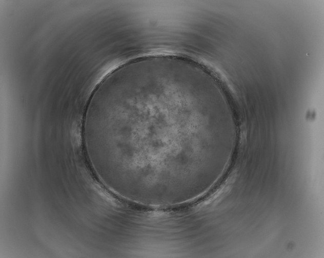 X0000094461409200711151439