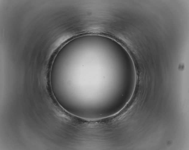 X0000094461410200711151439