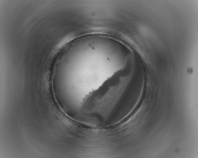 X0000094461411200711151439