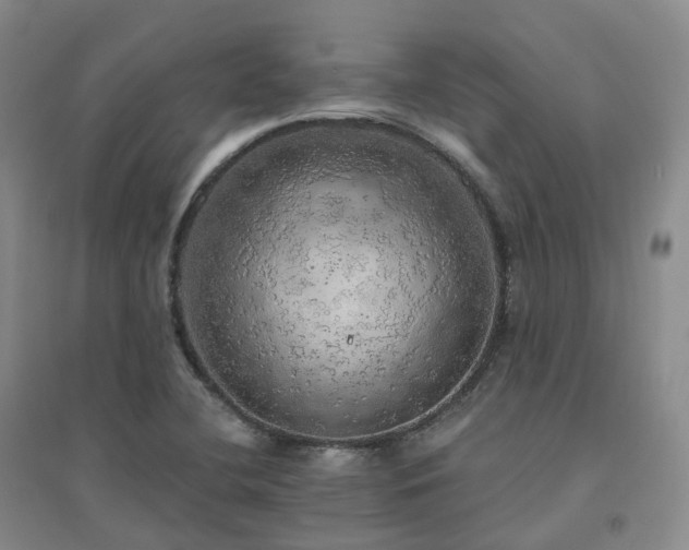 X0000094461412200711151439