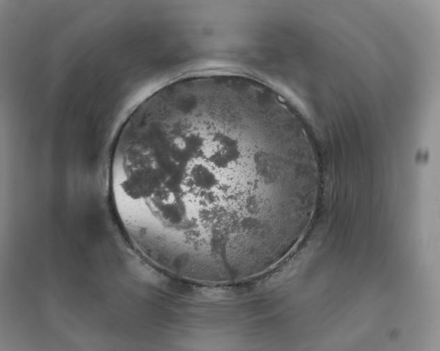 X0000094461413200711151439