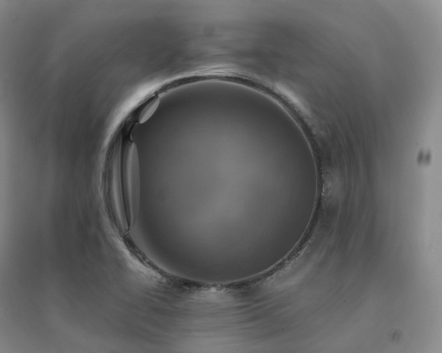 X0000094461414200711151439