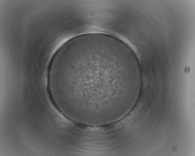 X0000094461415200711151439