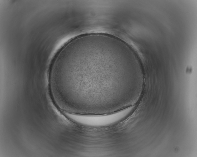 X0000094461416200711151440