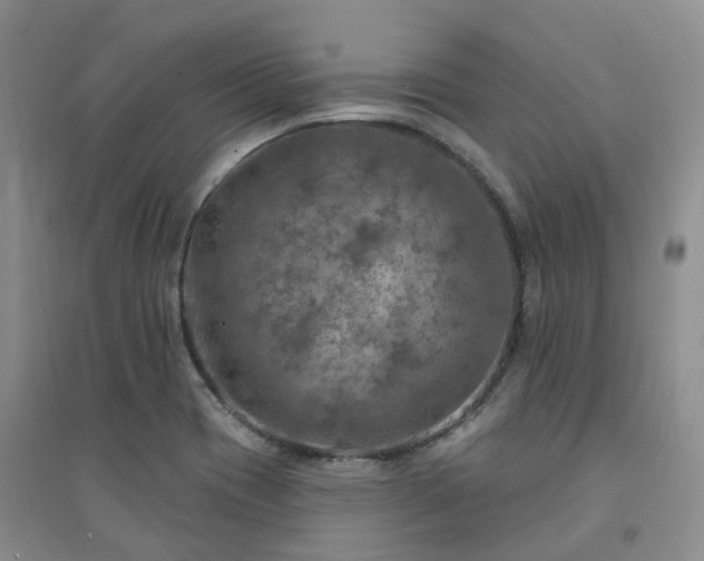 X0000094461417200711151440