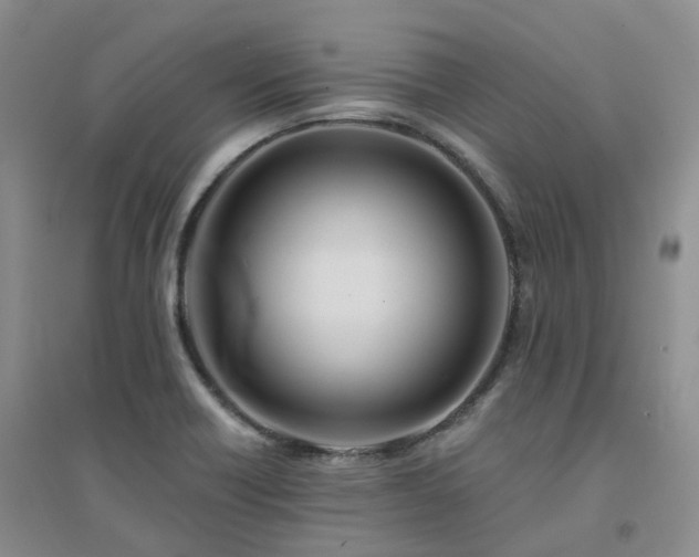 X0000094461418200711151440