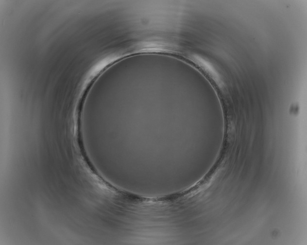 X0000094461419200711151440