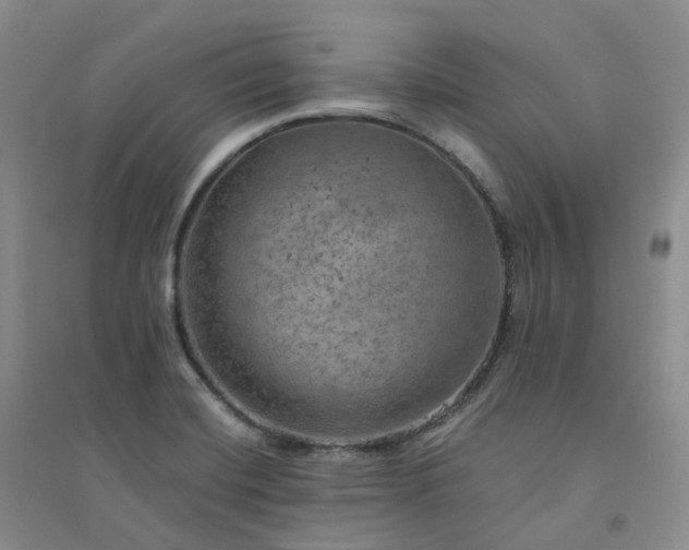 X0000094461420200711151440