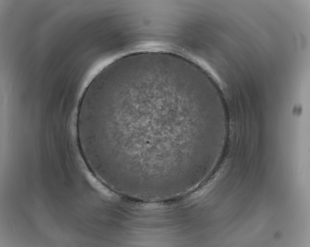 X0000094461421200711151440