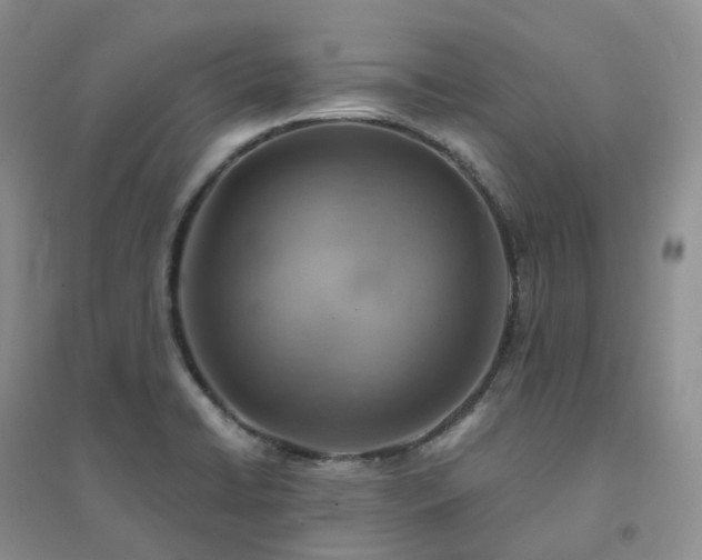 X0000094461422200711151440