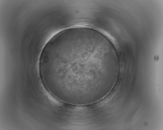 X0000094461423200711151440