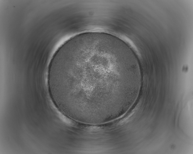 X0000094461424200711151440