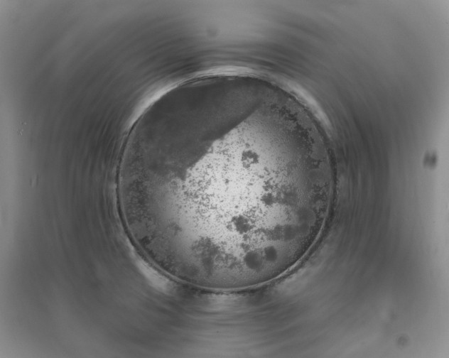 X0000094461425200711151440