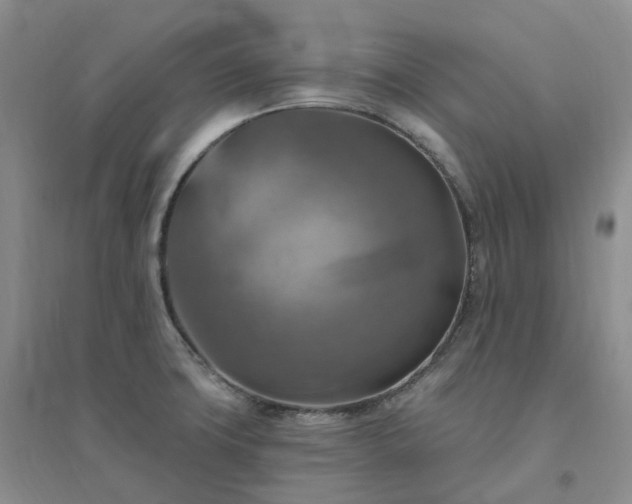 X0000094461427200711151440