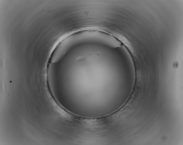 X0000094461428200711151440