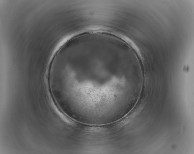 X0000094461429200711151440