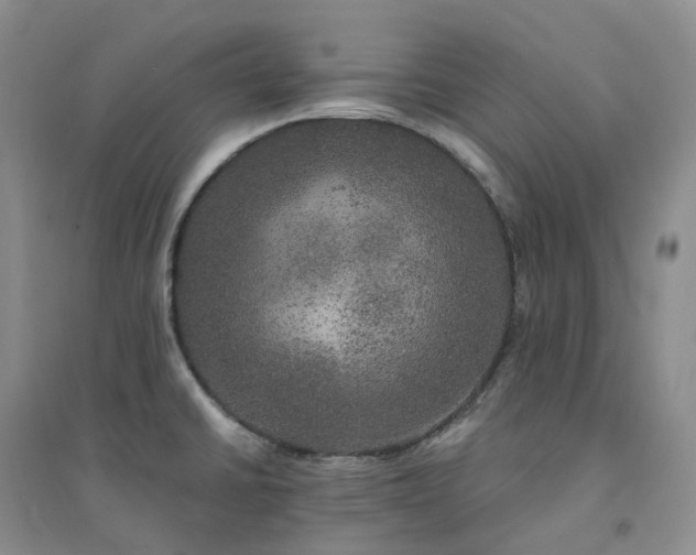 X0000094461430200711151440