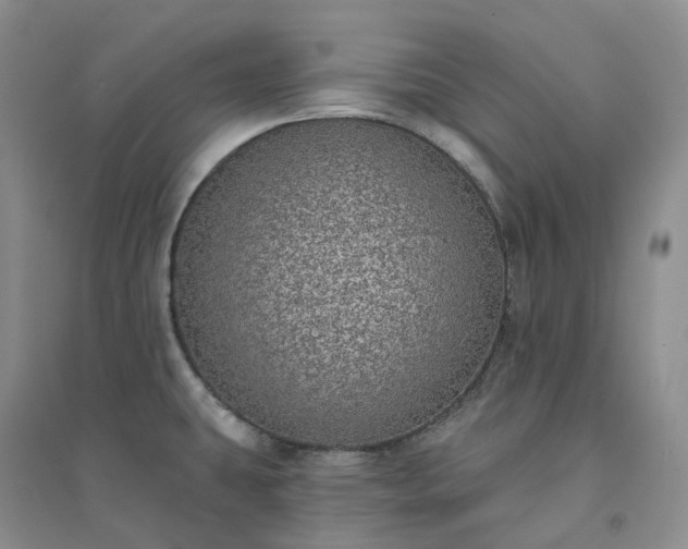 X0000094461431200711151440