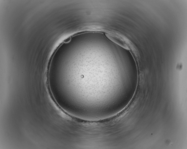 X0000094461432200711151440