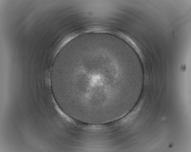 X0000094461433200711151440