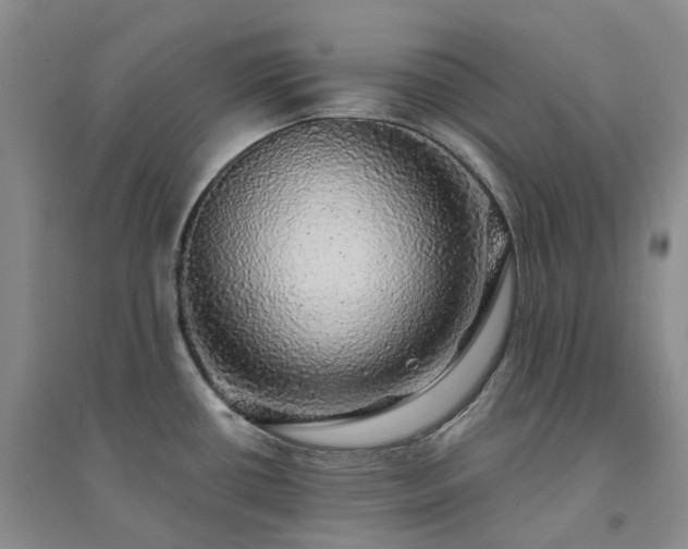 X0000094461434200711151440