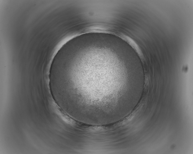 X0000094461435200711151440