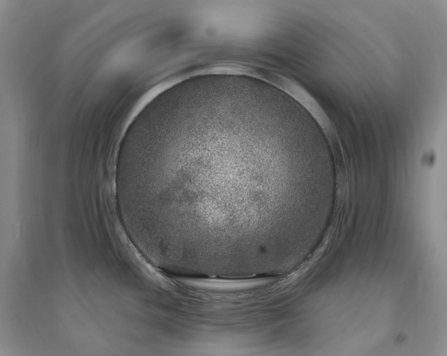 X0000094461436200711151440