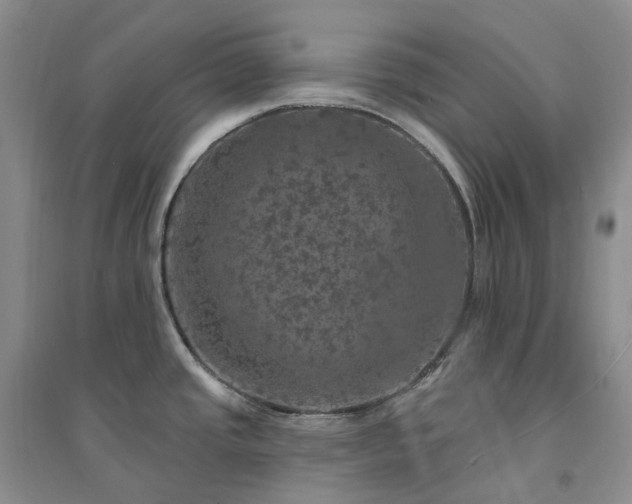X0000094461437200711151440