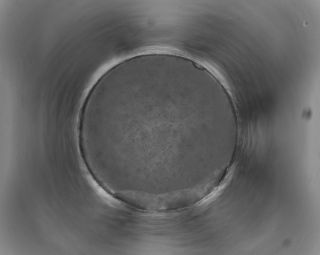X0000094461438200711151440