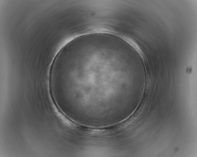 X0000094461439200711151440