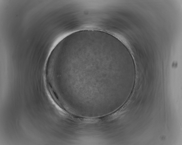 X0000094461440200711151440
