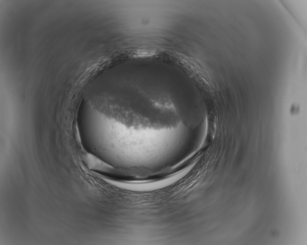 X0000094461441200711151439