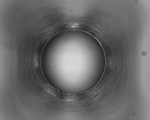 X0000094461442200711151439