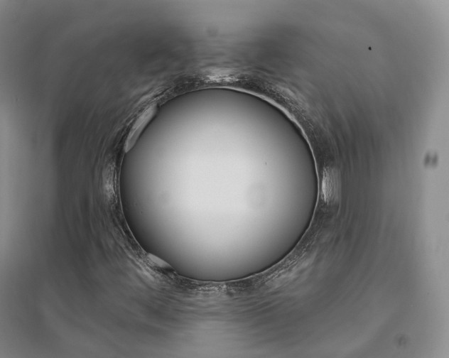 X0000094461444200711151439