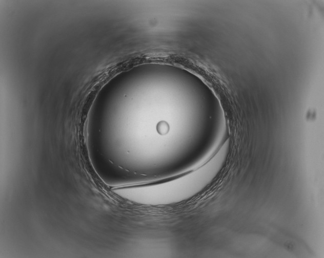 X0000094461445200711151439