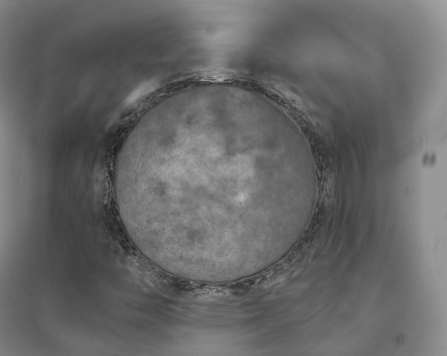 X0000094461446200711151439