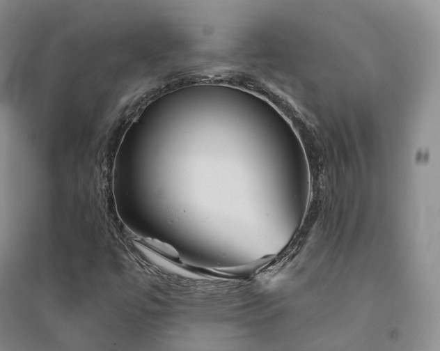 X0000094461447200711151439