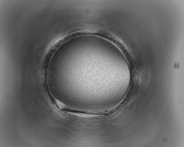X0000094461448200711151439