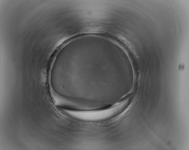 X0000094461449200711151439
