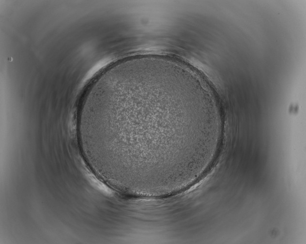 X0000094461450200711151439