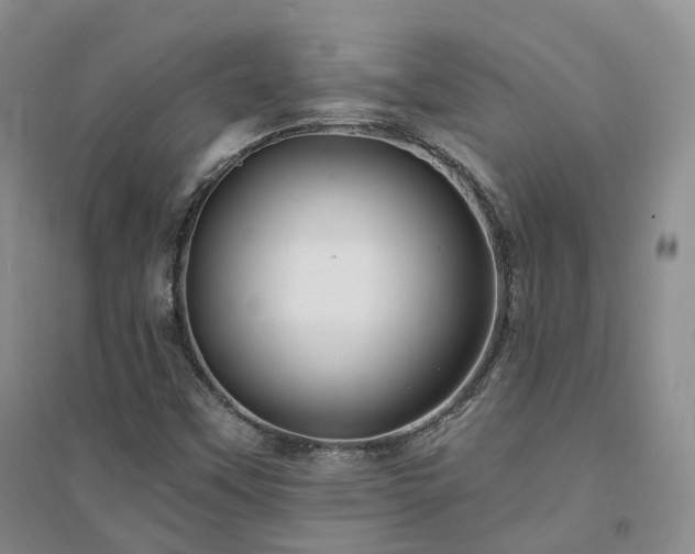 X0000094461451200711151439